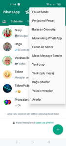 FMWhatsApp 1
