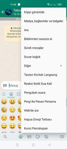 FMWhatsApp 2